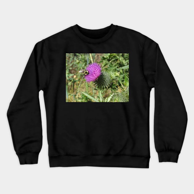 Busy bumblebee searching for pollen Crewneck Sweatshirt by Steves-Pics